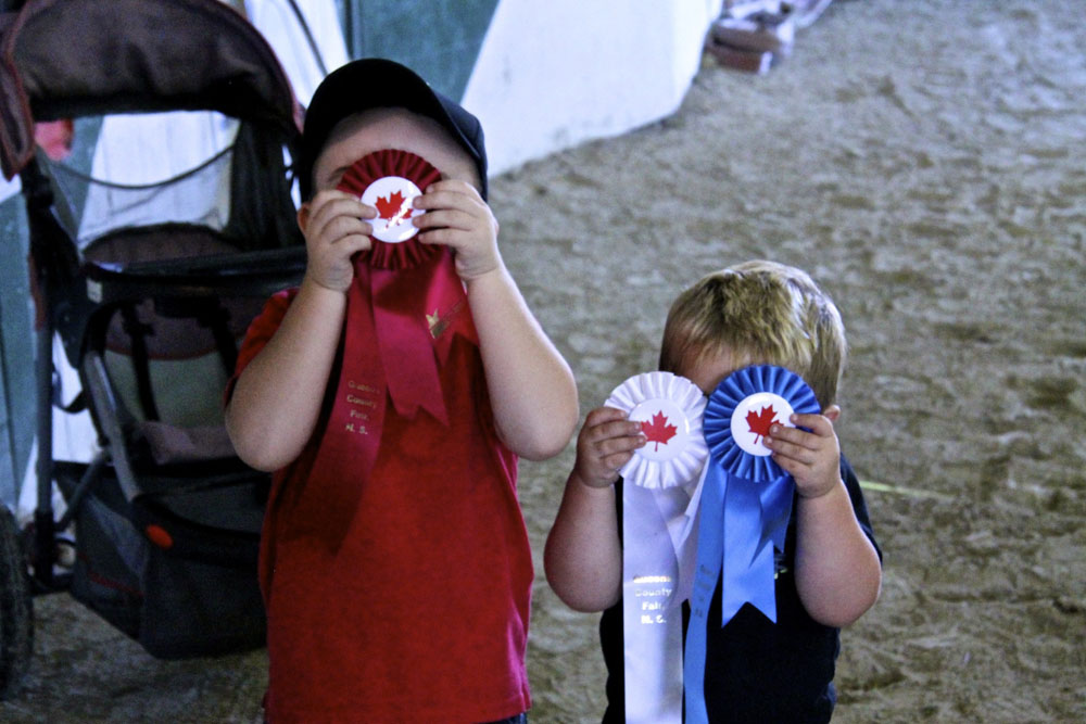 Fairgrounds Image