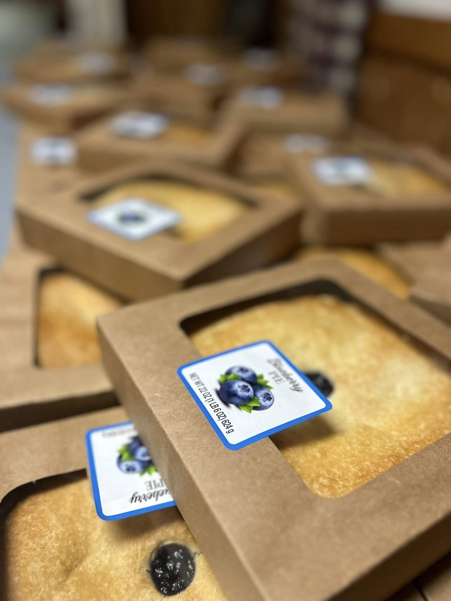 Fresh Baked Blueberry Pies