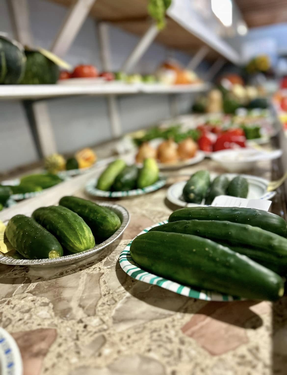 Fresh Agricultural Produce